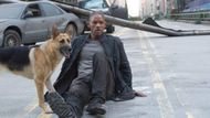 I Am Legend (2007) | Image Source: Warner Bros. Pictures